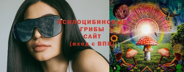 соль курить ск Няндома
