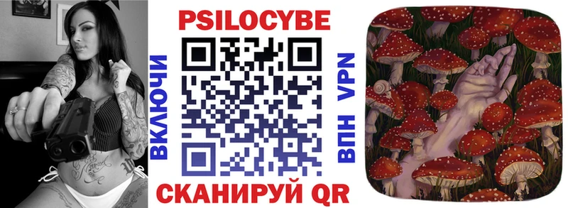 Псилоцибиновые грибы Psilocybe блэк спрут маркетплейс Светлогорск