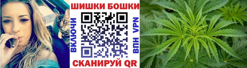 KRAKEN как зайти  Светлогорск  Канабис OG Kush  купить наркоту 